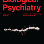 Noninvasive Brain Stimulation Rescues Cocaine-Induced Prefrontal Hypoactivity and Restores Flexible Behavior