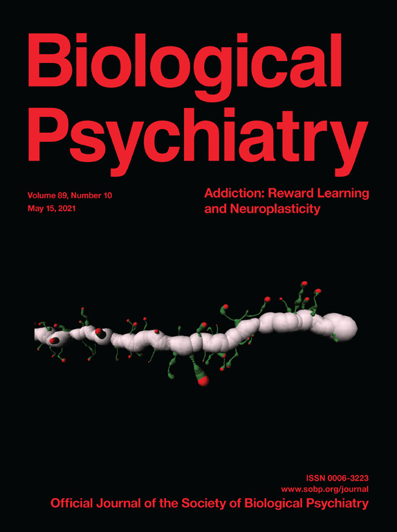 Noninvasive Brain Stimulation Rescues Cocaine-Induced Prefrontal Hypoactivity and Restores Flexible Behavior