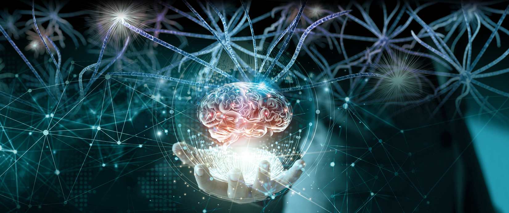 West Lab West Lab Neurobiological Research Lab Philadelphia